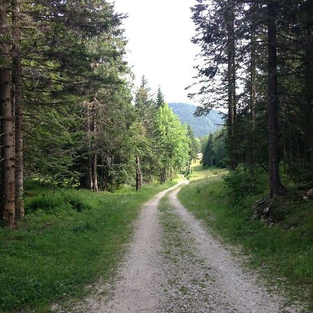 Beau Site Lägenhet Villard-de-Lans Exteriör bild