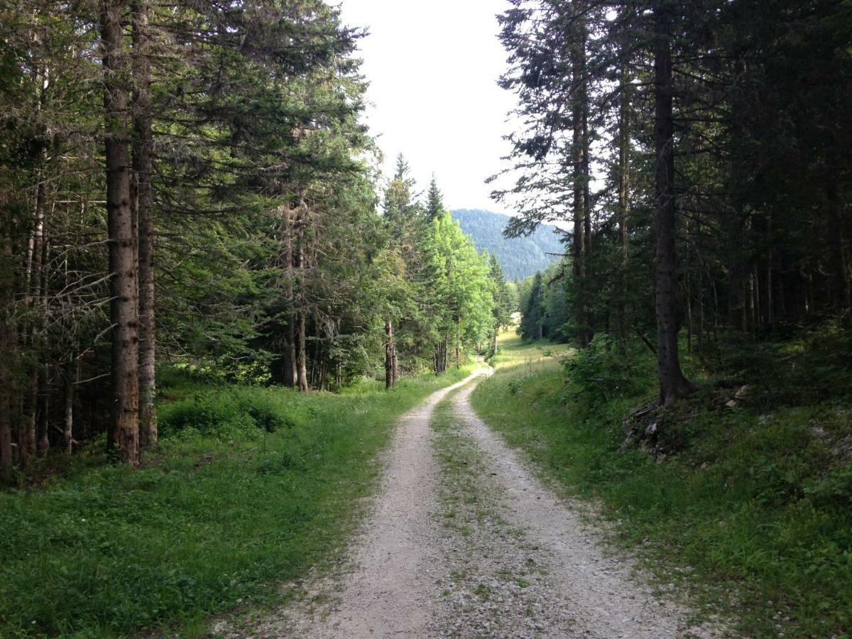 Beau Site Lägenhet Villard-de-Lans Exteriör bild